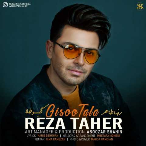 Reza Taher Gisoo Tala